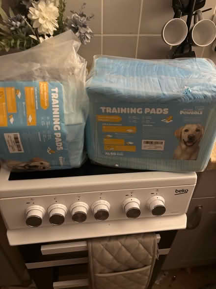 Photo of free Training pads (Sydenham Cv311gp) #1