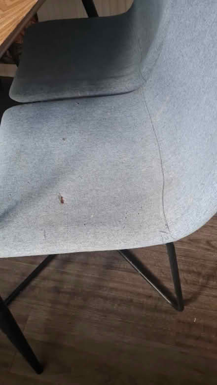 Photo of free Dining Table & 4 Chairs (Woodhall Farm HP2) #2