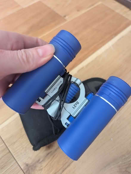 Photo of free Small binoculars (Buggs Bottom RG4) #2