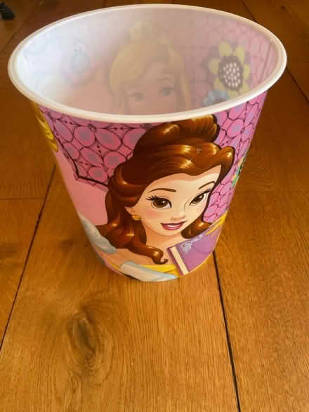 Photo of free Disney Princess Bin (Bowbridge GL5) #2