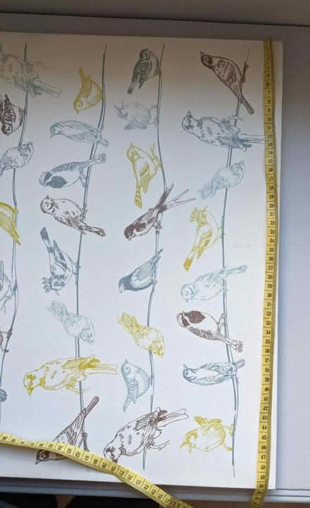 Photo of free Birds canvas artwork wall hanging (EH5, Granton, Edinburgh) #3