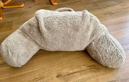 Photo of free Back support cushion (Bolton CA16) #2