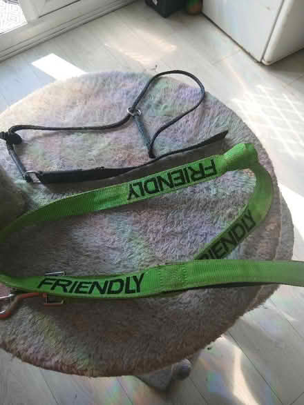Photo of free Two dog leads and two cans chicken dog food (Bromley North BR1) #1