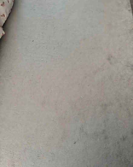 Photo of free Large Grey rug 200cm by 290cm (Edmonton N9) #1