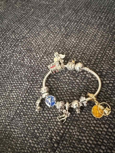 Photo of free Charm Bracelet & Charms (Milton OX14) #1