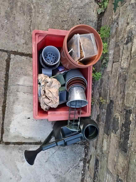 Photo of free Garden items, pots, bulbs (Petersfield CB1) #1
