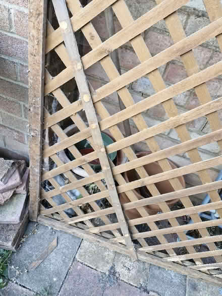 Photo of free Wooden trellis (Chells SG2) #1