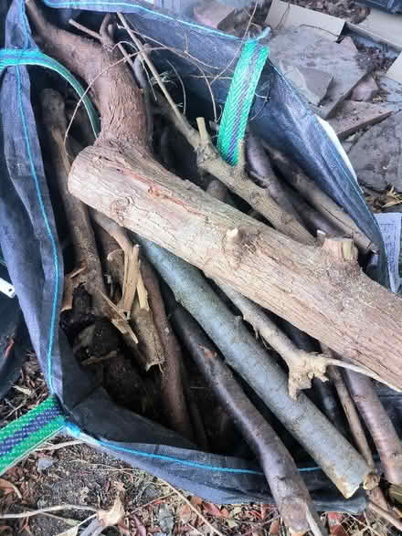 Photo of free Wood (Lower Nazeing EN9) #1