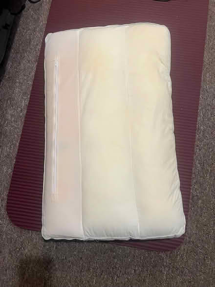 Photo of free Sealy Posturepedic Pillow (Richmond TW1) #1