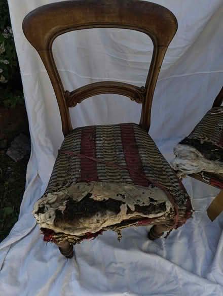 Photo of free Dining chairs needing restoration (East wall) #2