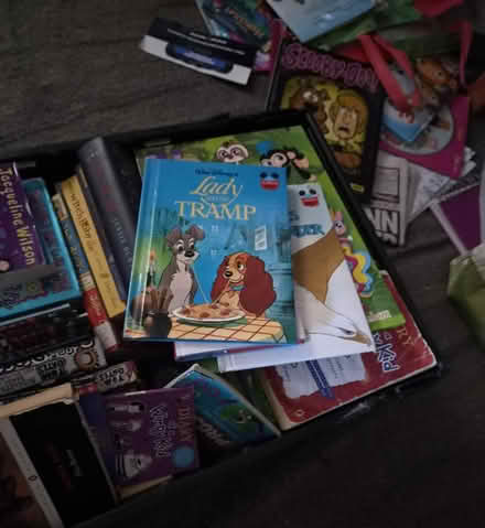 Photo of free Books (Maidstone ME15) #1