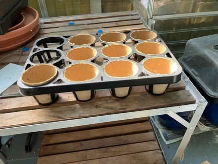 Photo of free Plantopia Skelly Trays (Hartley DA3 7DF) #1