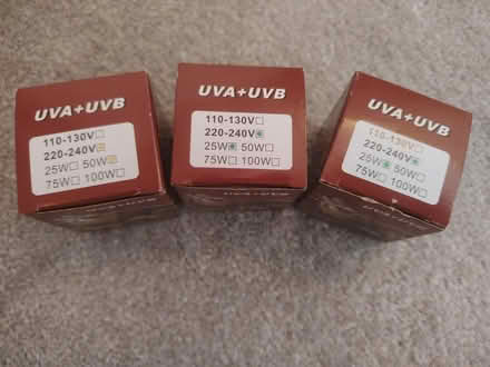 Photo of free Reptile bulbs (Pensby CH61) #2