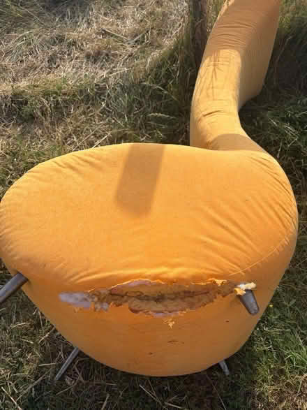 Photo of free Unique Chairs (Near Rottingdean BN2) #2