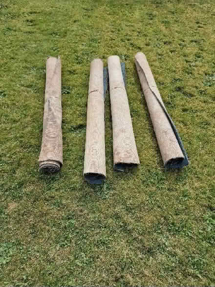 Photo of free Carpet (Ballymaconaghy BT6) #1