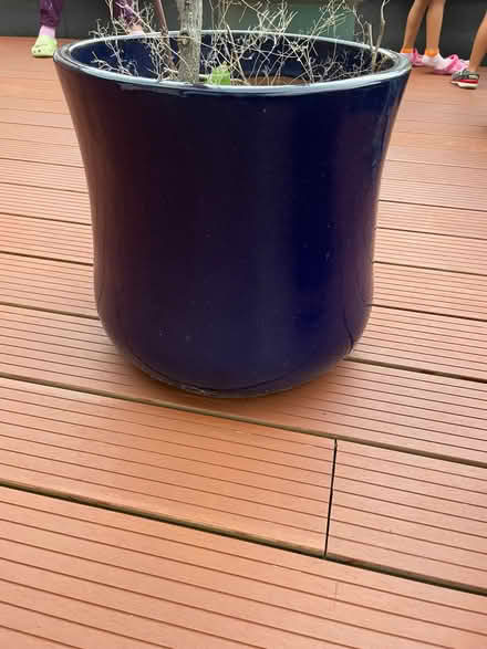 Photo of free Big plant pots (The Grange EH9) #2