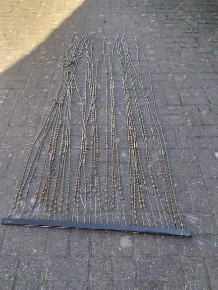 Photo of free Beaded fly screen (Baldslow TN37) #1