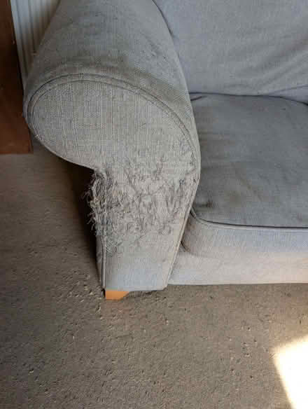 Photo of free Mid grey fabric armchair (cuddlechair) (Hove Station area BN3) #2
