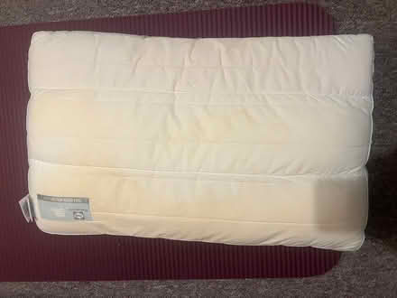Photo of free Sealy Posturepedic Pillow (Richmond TW1) #3