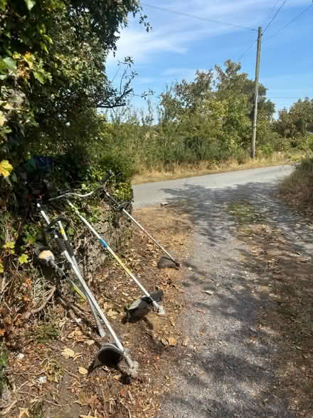 Photo of free three strimmers (Mynydd Mechell LL68) #2