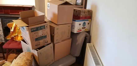 Photo of free 8+ strong boxes house moving (Bowbridge GL5) #1