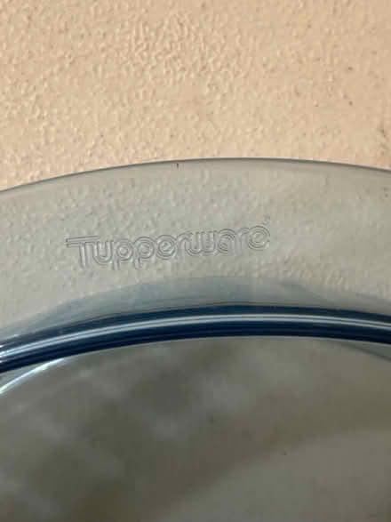 Photo of free Tupperware tray with lid (Bensenville) #1