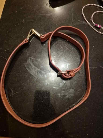 Photo of free Leather bag chain (Sw1p 4bb) #1