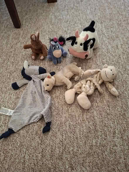 Photo of free Job lot of plush toys (Woodley RG5) #1