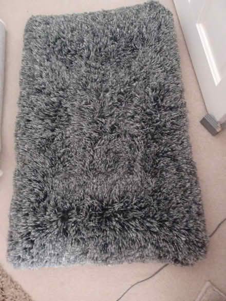 Photo of free Dog Bed (Hollingbury BN1) #1