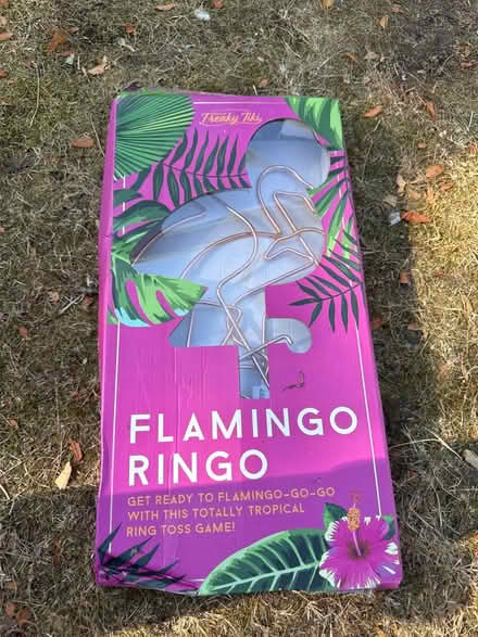 Photo of free Flamingo toss game (Cheam SM2) #1