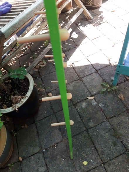 Photo of free Animal Child Hoop Board, hight 84cm width 46cm (Malvern WR14) #3