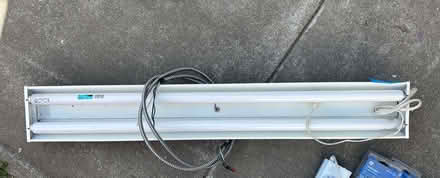 Photo of free Halogen lights (Alameda) #2