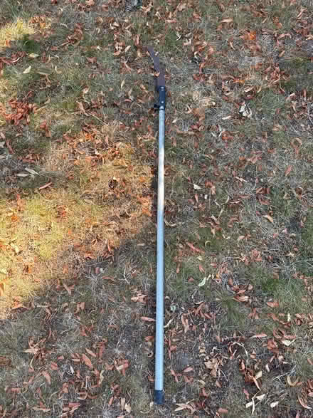 Photo of free Long saw slightly rusted (Cheam SM2) #1