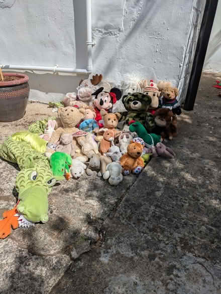 Photo of free Soft toys (University Area RG1) #1