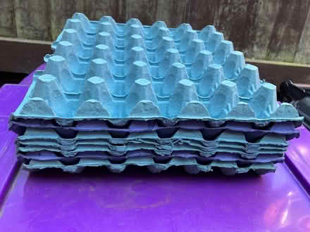 Photo of free Egg trays (Spilsby PE23) #1