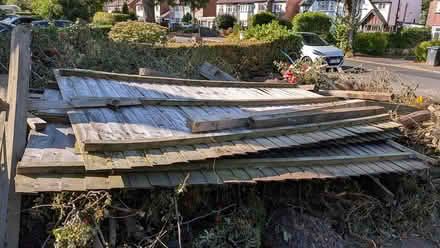 Photo of free Assorted used fence panels /posts (Boldmere, Sutton Coldfield) #3