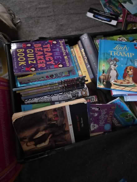 Photo of free Books (Maidstone ME15) #2