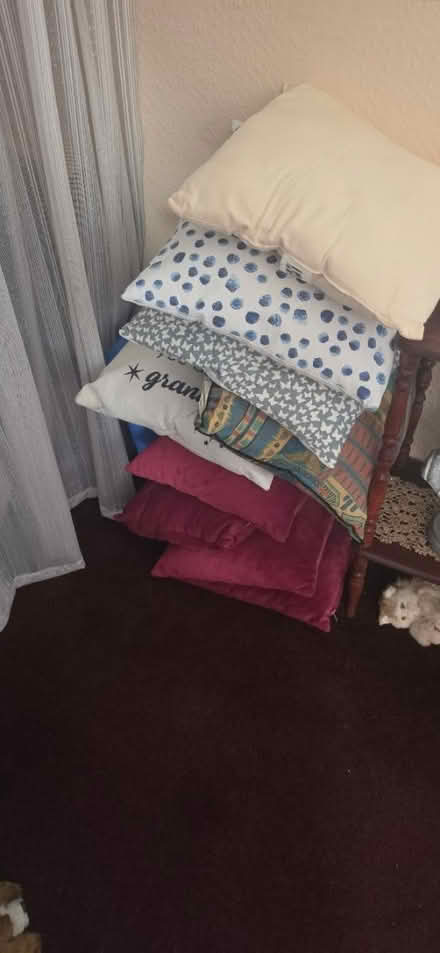 Photo of free 9 various scatter cushions (Barmston NE38) #1