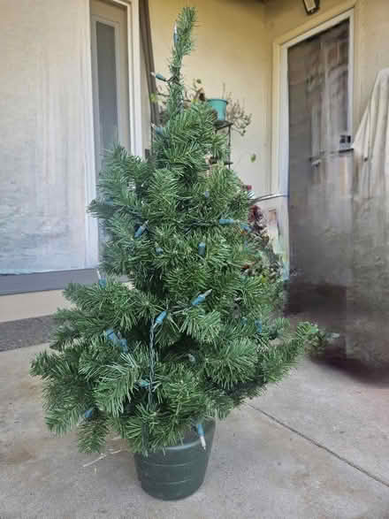 Photo of free Pitted artificial tree (Sevenhills) #1