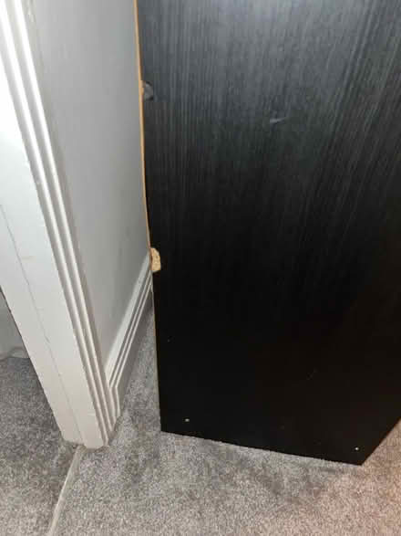Photo of free Wardrobe (Chiswick W4) #4
