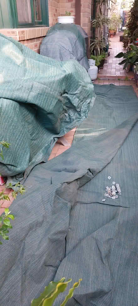 Photo of free Used Shade Cloth and Papaya (Camperdown 2050) #1