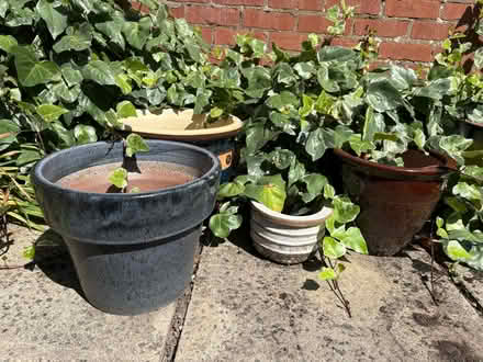Photo of free Outdoor plant pots (Bramhall SK7) #1