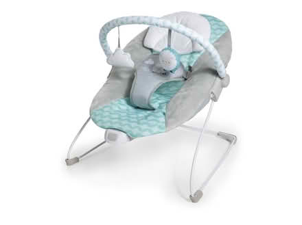 Photo of free Baby bouncer (L4Z 4K1 , Forum drive) #1