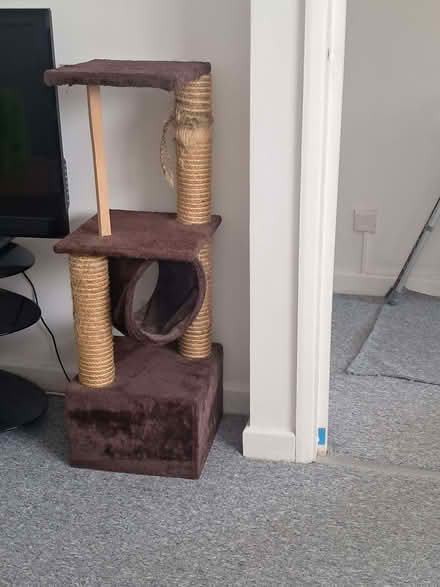 Photo of free Cat Scratching Post (St. Martin's CT1) #2
