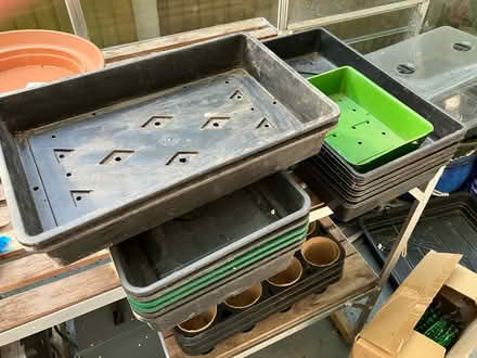 Photo of free Garden trays (Hartley DA3 7DF) #1