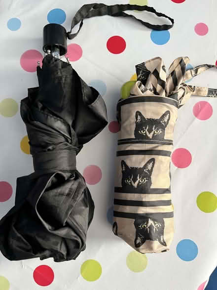 Photo of free Umbrellas (Ballynafoy BT6) #1