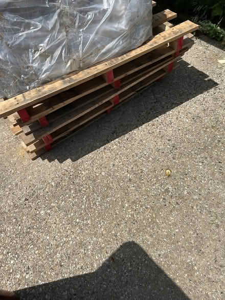 Photo of free 6 pallets (Selsey PO20) #1