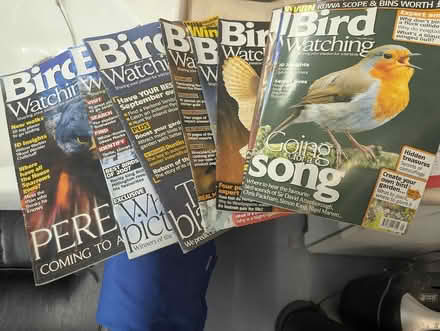 Photo of free Bird magazines (High Wycombe HP11) #1