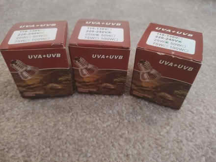 Photo of free Reptile bulbs (Pensby CH61) #1