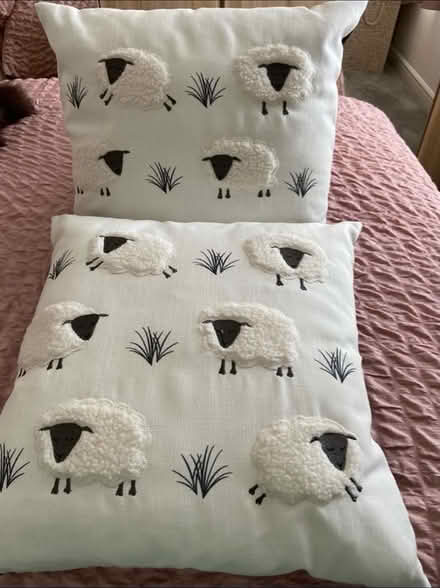 Photo of free Duvet 10.5 tog/ pillows & covers (Barrow in Furness. LA14) #3